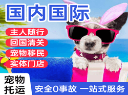 伊春林都机场货运国际宠物托运 【国